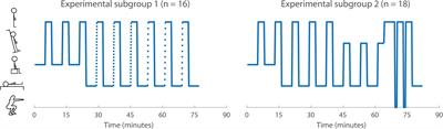 Multimodal Monitoring of Cardiovascular Responses to Postural Changes